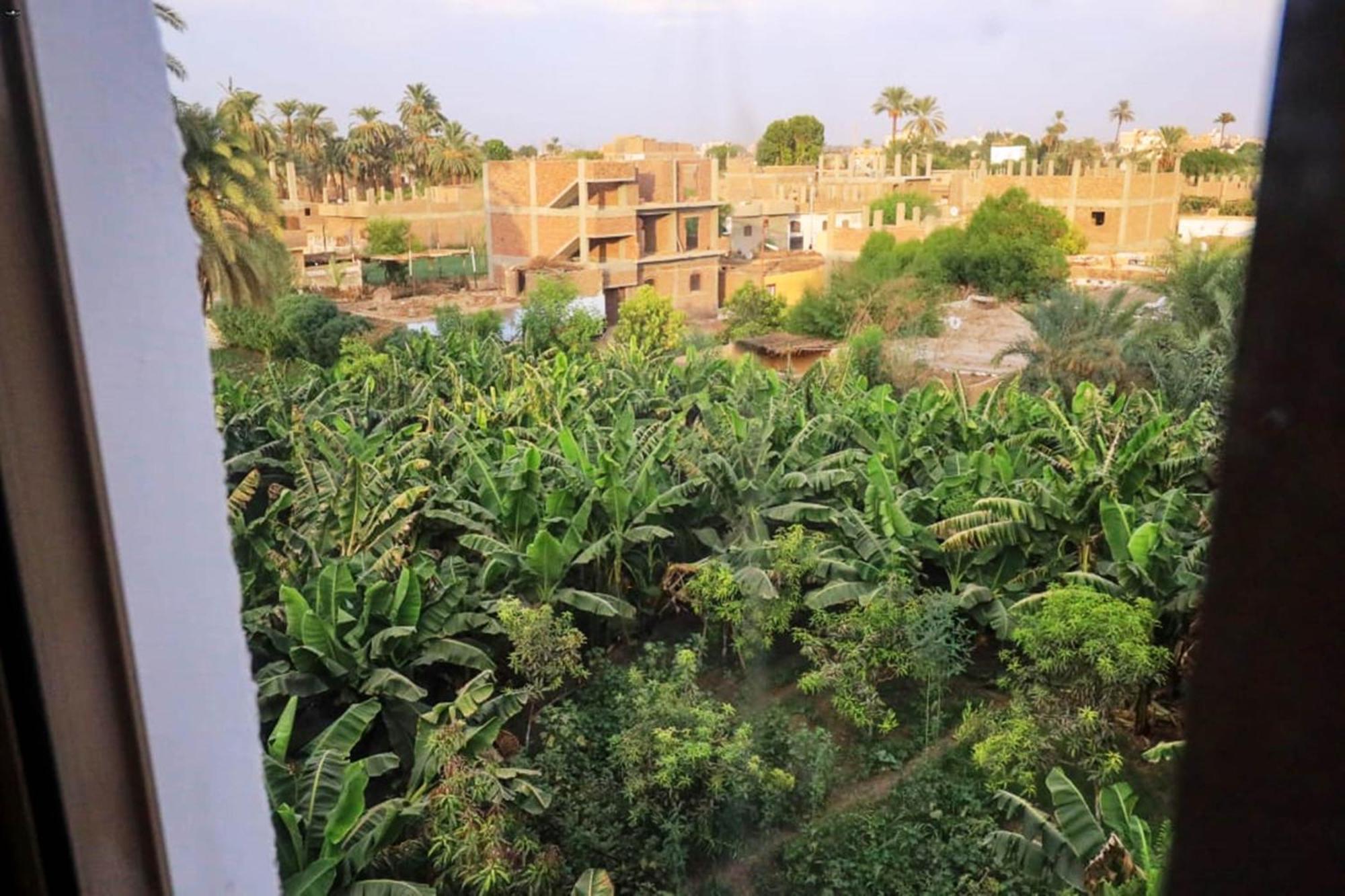 Luxor View Hostel Dış mekan fotoğraf