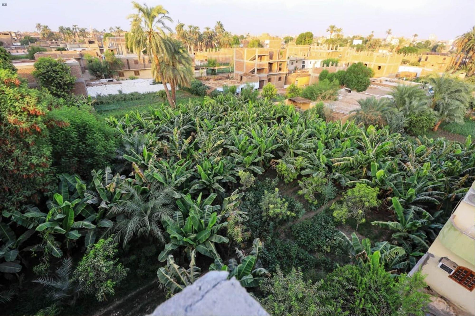 Luxor View Hostel Dış mekan fotoğraf