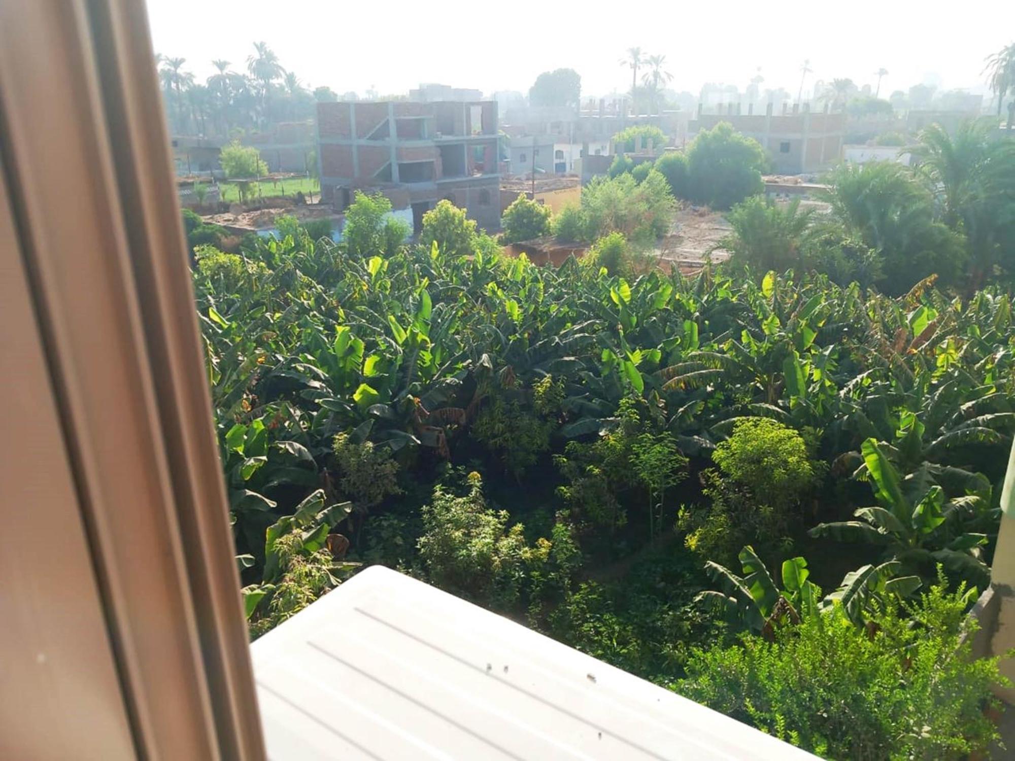 Luxor View Hostel Dış mekan fotoğraf