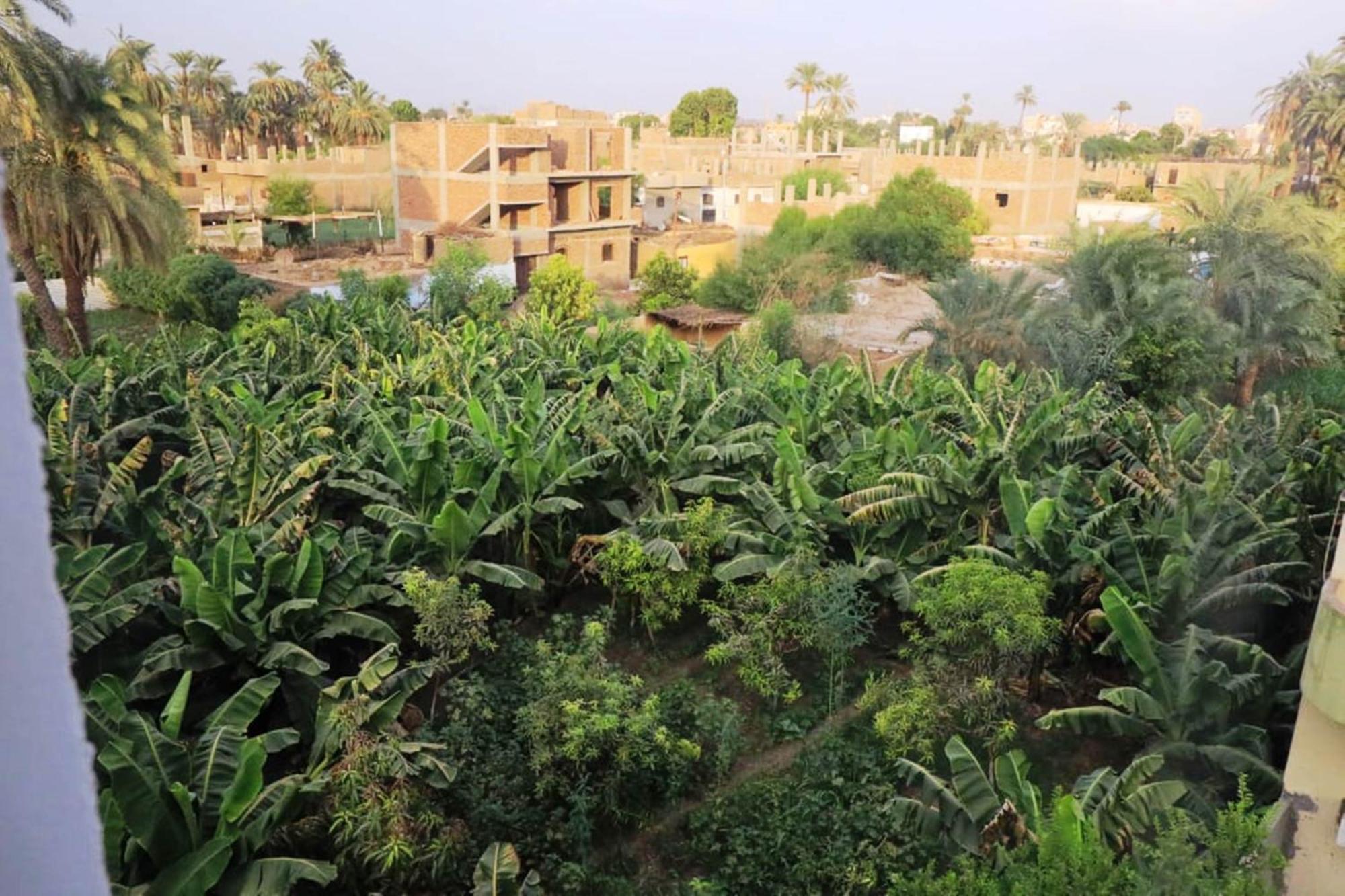 Luxor View Hostel Dış mekan fotoğraf